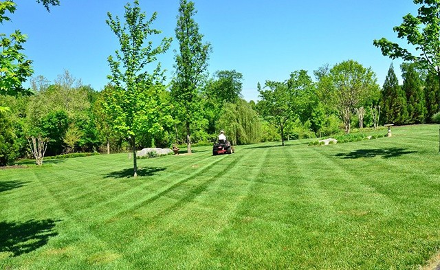 Lawn Care Allendale Mi