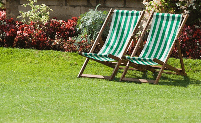  Chairs in a garden 